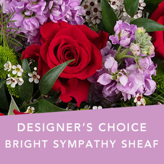 DC Bright Sympathy sheaf